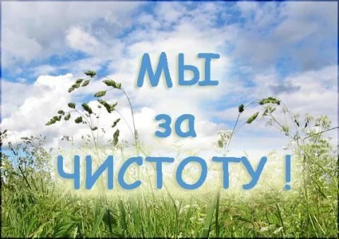 Давайте наводить чистоту!