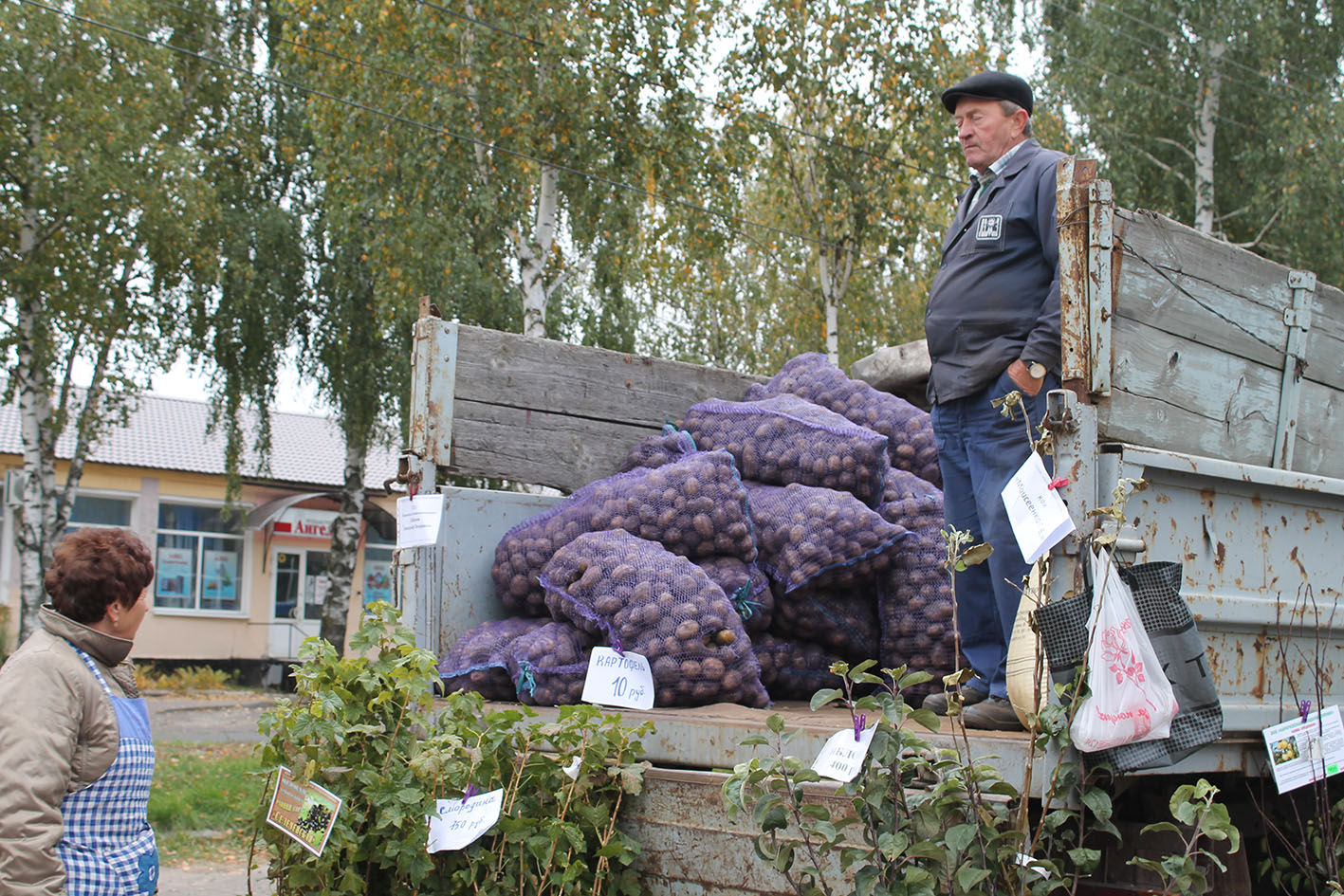 Урожайность свыше 400ц/га