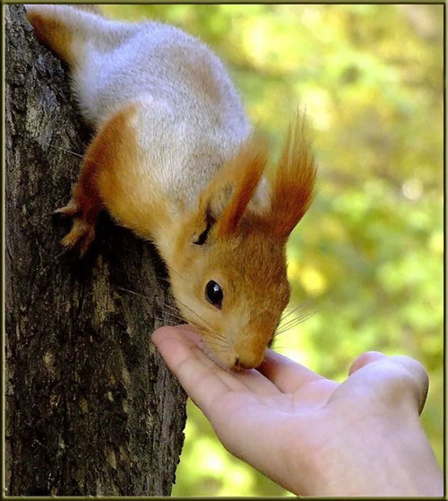 «Посмотри вокруг — мир прекрасен»