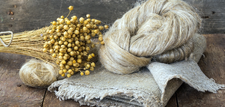 В Брянской области развивается льняной комплекс