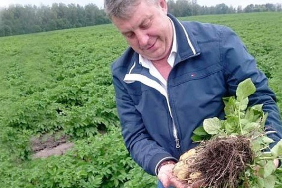 На Брянщине создадут центр селекции и семеноводства