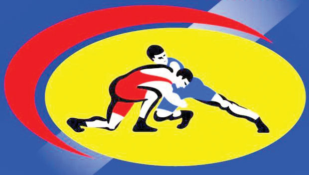 Вольная борьба — наши победы