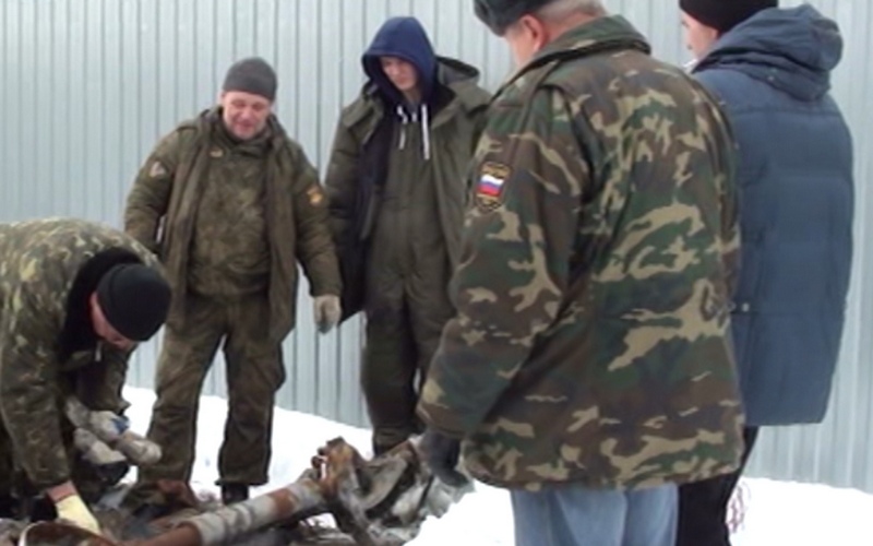 Поисковики из Казани приехали в Брянск