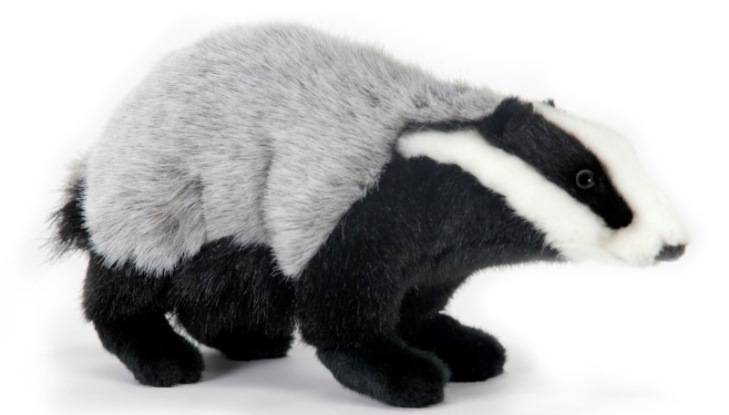 Конкурс плюшевых игрушек