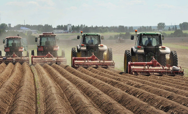 Посевные площади в Брянской области увеличатся