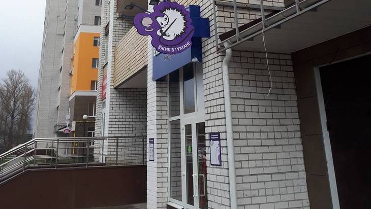 Жители Брянска за два дня «сошли с ума» от «Ёжика в тумане»