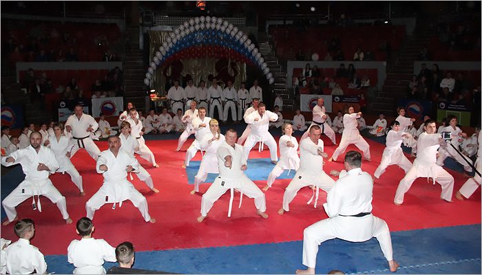 XI фестиваль боевых искусств в Брянске