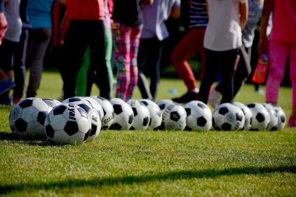 На стадионе «Труд» пройдет реконструкция футбольного поля