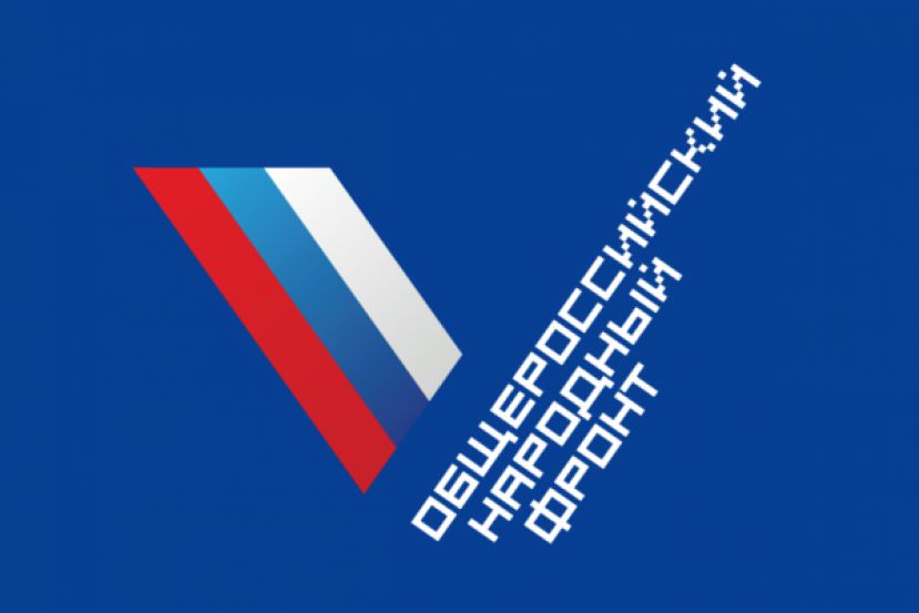 Активисты ОНФ провели патриотические мероприятия ко Дню Победы