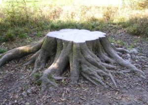 Работы по благоустройству кладбищ продолжаются