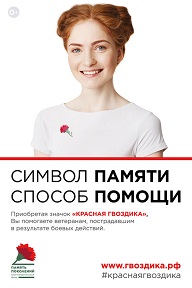 В Брянской области, как и по всей России, проходит акция «КРАСНАЯ ГВОЗДИКА»