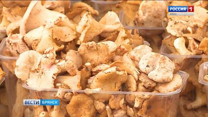 Грибной сезон