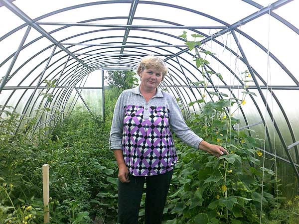 Взялся за дело — работай смело