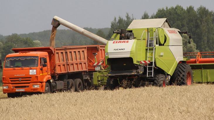 На Брянщине  в 6 раз вырос экспорт продукции растениеводства