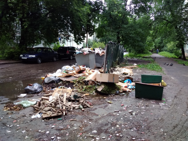 Активисты ОНФ  в Брянске добиваются приведения в порядок контейнерных площадок