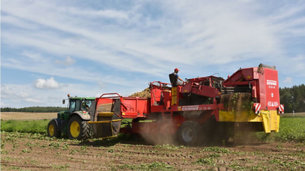 Экспорт продукции растениеводства из Брянской области вырос в шесть раз