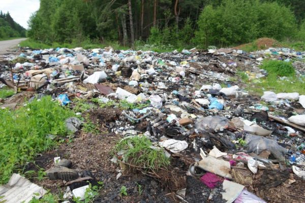 В Брянской области при поддержке ОНФ убирают городские свалки