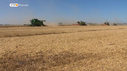 На Брянщине стартовала уборочная страда