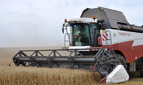 Ветераны сельского хозяйства Брянской области дали старт уборочной страде -2018