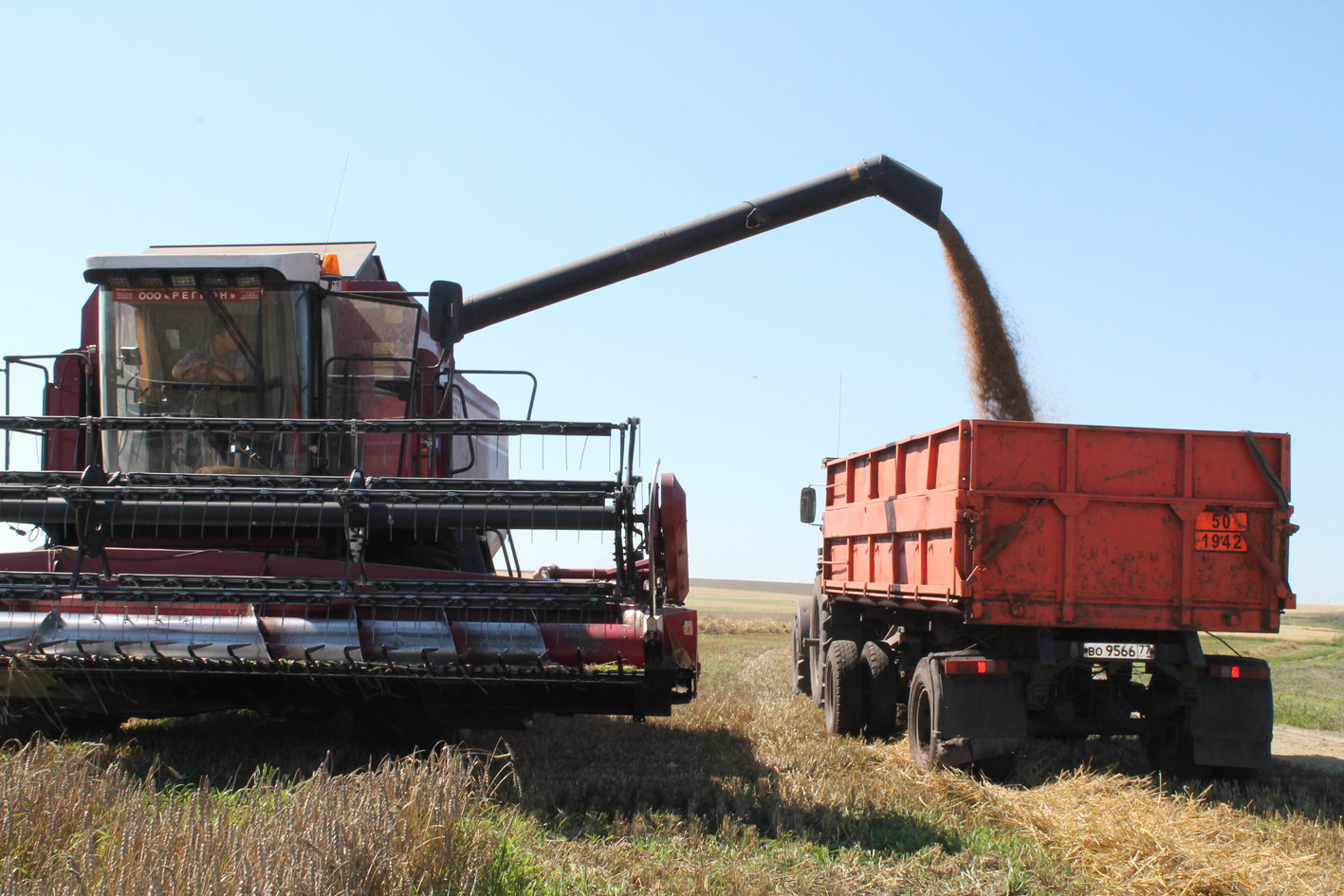 Кипит работа на зернотоке