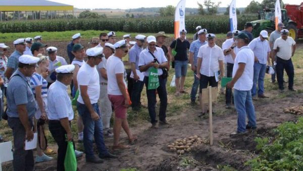 Международный День  картофельного поля прошел в Брянской области