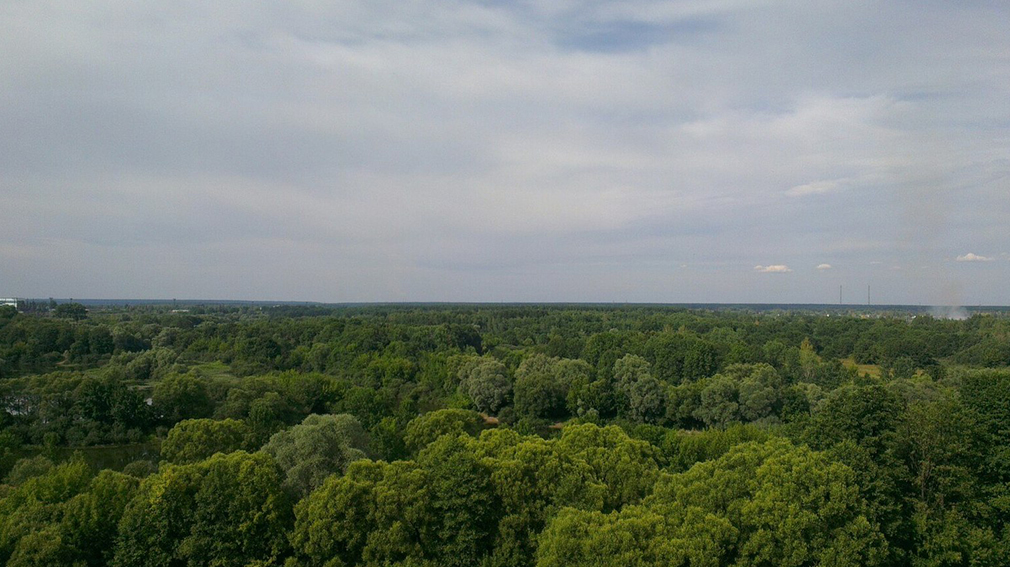 В Санкт-Петербурге увидят «Пограничный край»