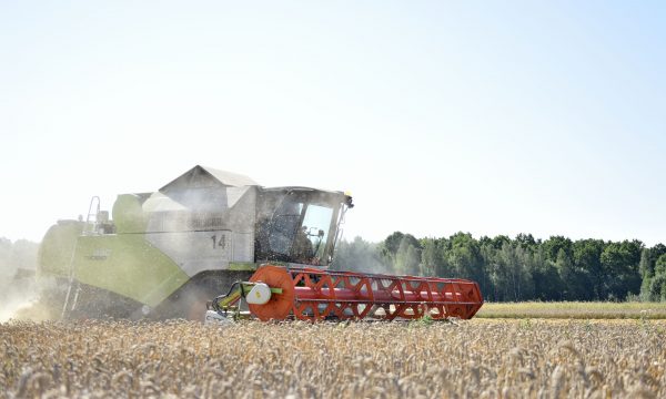 Аграрии Брянской области обрадованы пенсионной льготой, предложенной президентом