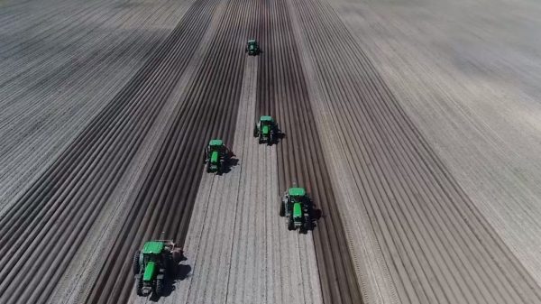 Фильм об ультрасовременных сельскохозяйственных  технологиях сняли в Брянской области