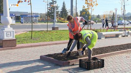 Брянск станет городом тюльпанов