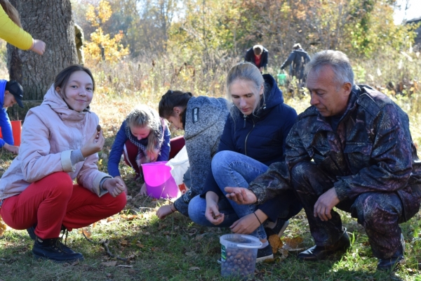 Выгоничские  волонтеры помогали возрождению брянского леса