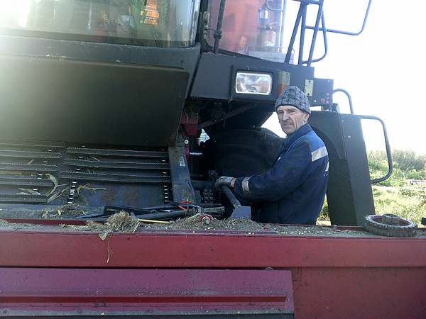 Особенности кукурузной страды