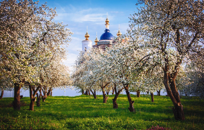 Брянск неопалимый