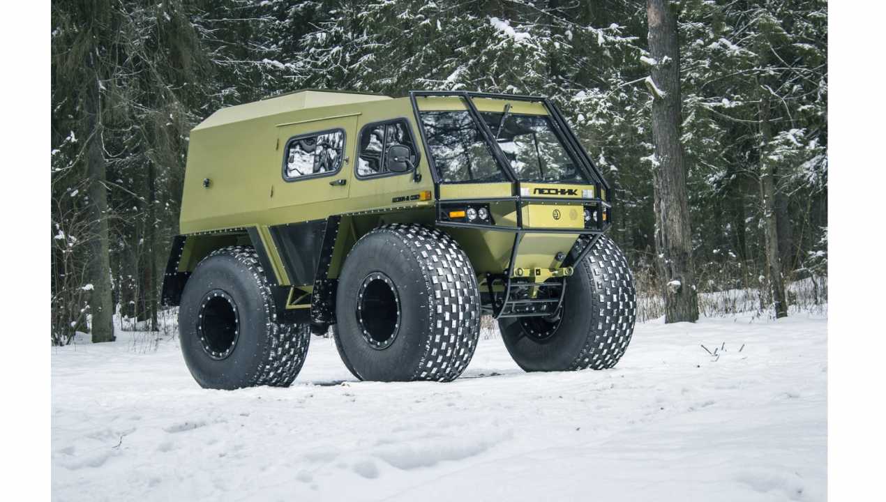 Власти помогут лесникам