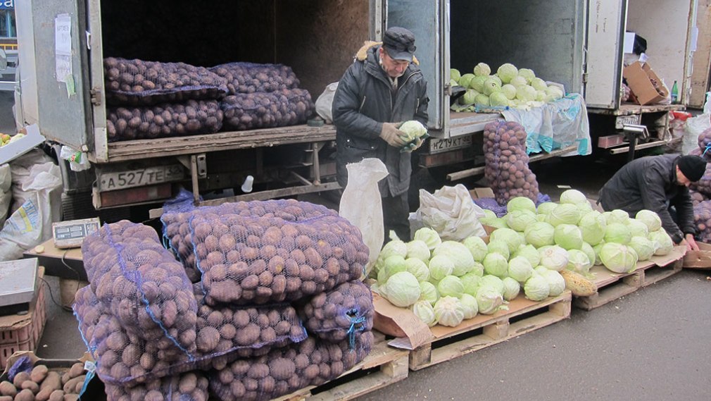 Брянцы приобрели на ярмарках выходного дня более ста тонн сельхозпродукции