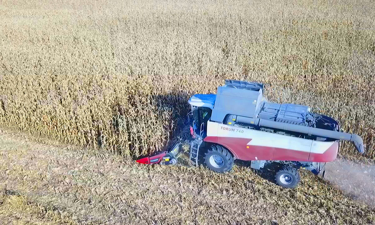 Брянская область- первая в ЦФО по урожайности зерновых