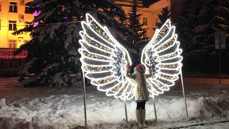 Крылья брянского правительства стали невероятно популярной фотозоной