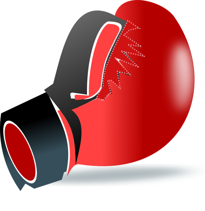 Брянская спортсменка привезла  золотую медаль по боксу