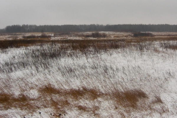 Земли  Выгоничского района на Брянщине  возвращаются в оборот
