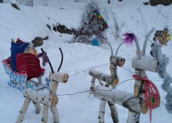 Победителем новогоднего конкурса стал ТОС «Пересвет» города Брянска