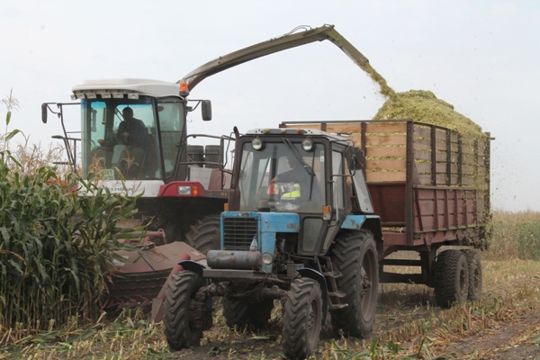 На  Брянщине  аграрии  Стародубского района произвели продукции на 7,3 млрд. рублей