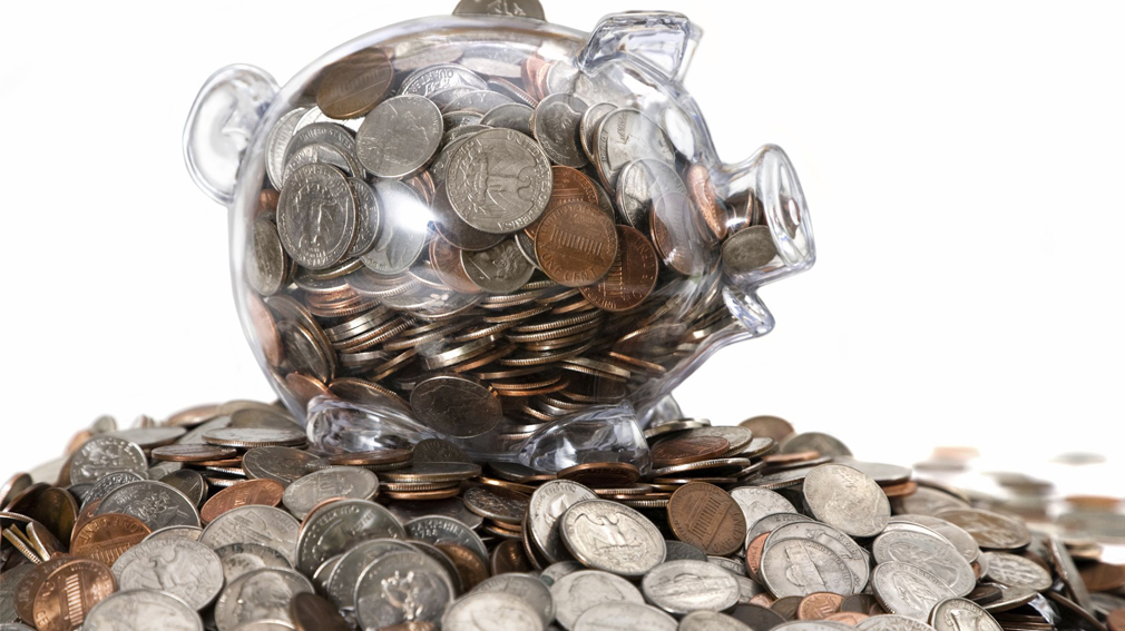 На брянских лесах государственный бюджет получил рекордную сумму