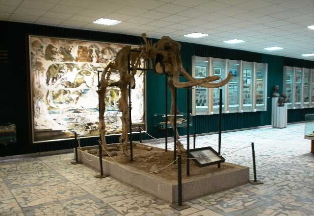 Депутаты приняли закон «О деятельности музеев в Брянской области»