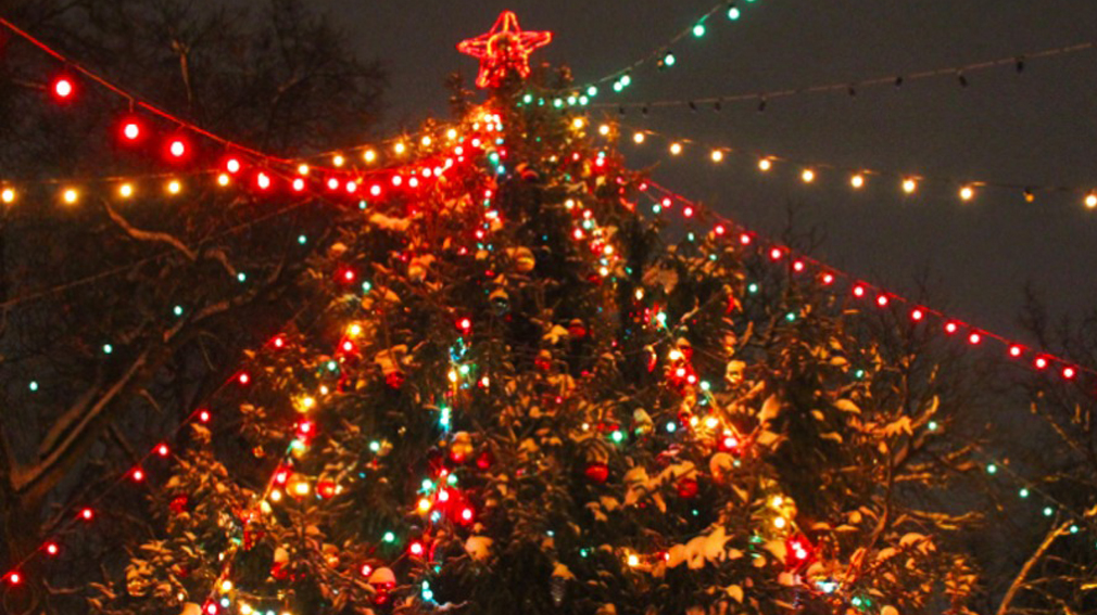 Новогодняя елка в Круглом сквере Брянска  собрала 3 тысячи человек