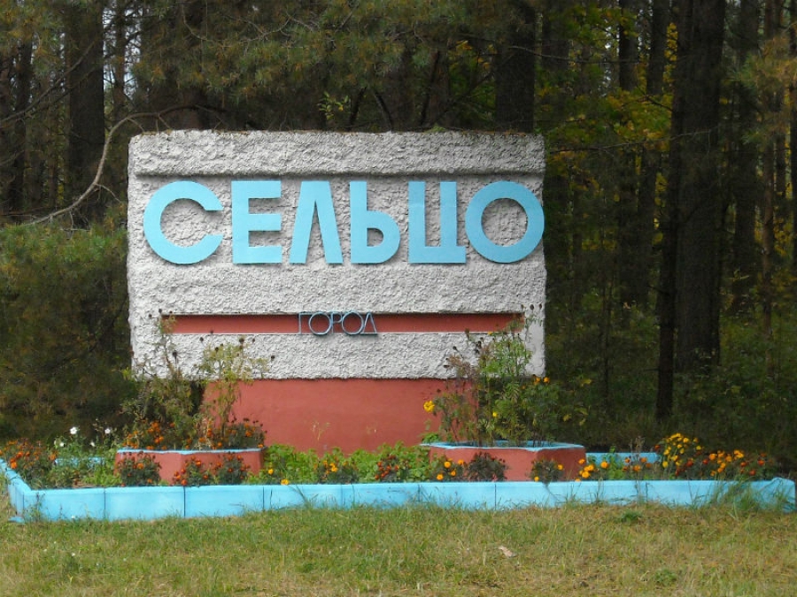 В 2019 году в городе Сельцо Брянской области будет отремонтирован ряд дорог