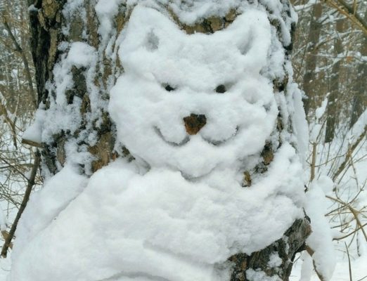 В брянском парке «Соловьи» появились новые снежные скульптуры