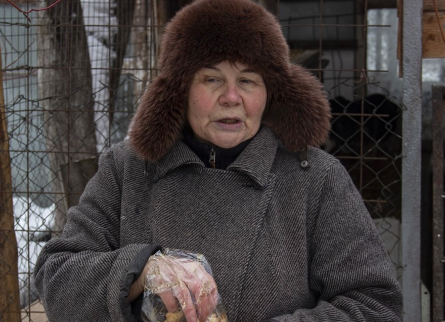 Приют для бездомных собак организовала бывшая брянская учительница