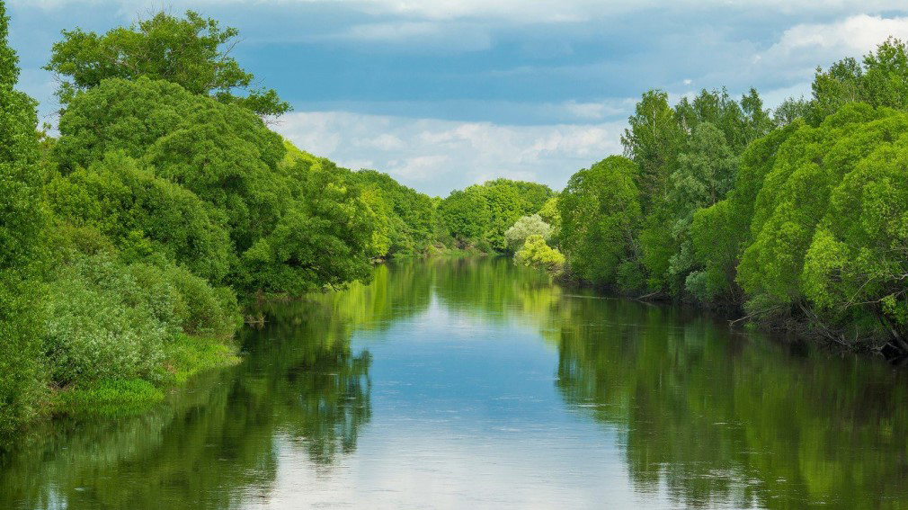 В Брянске готовится проект по расчистке Десны