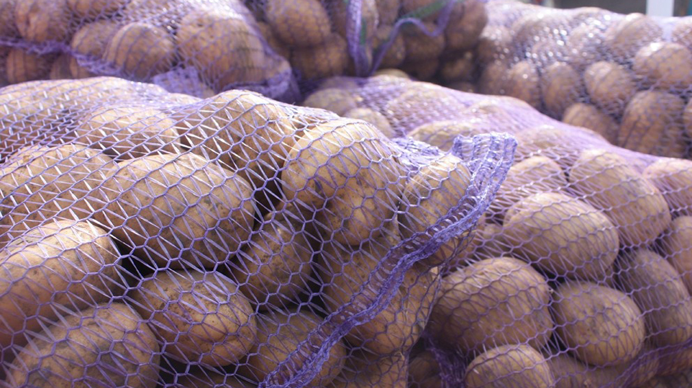 Брянщина увеличила экспорт сельскохозяйственной продукции