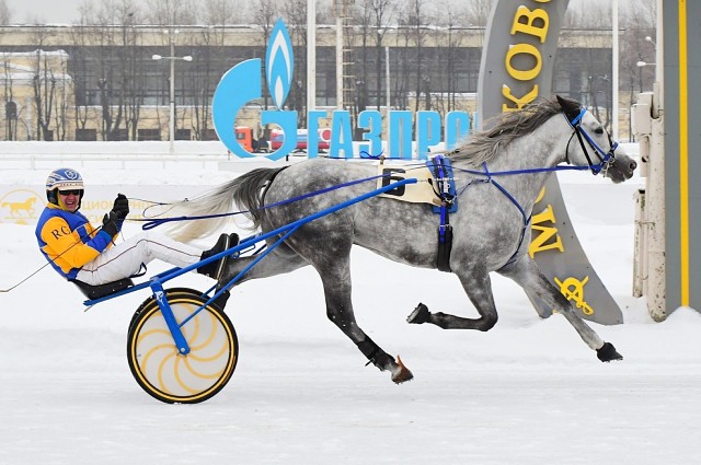Победы локотских рысаков из Брянщины
