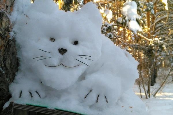 Житель Брянска  изваял сказочные снежные  скульптуры